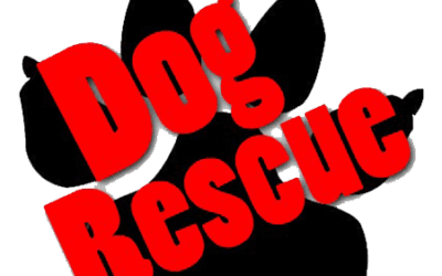Local Rescue Organizations